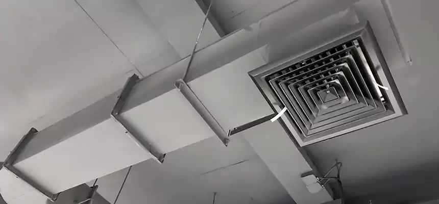 Our Pest Removal From Ducts Services in San Gabriel, CA