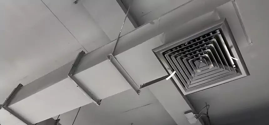 Our Rodent Droppings In Vents Services in San Gabriel, CA