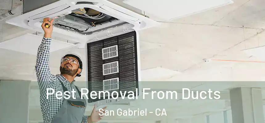  Pest Removal From Ducts San Gabriel - CA