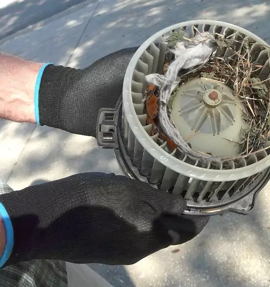 About Air Duct Mice Removal in San Gabriel, CA