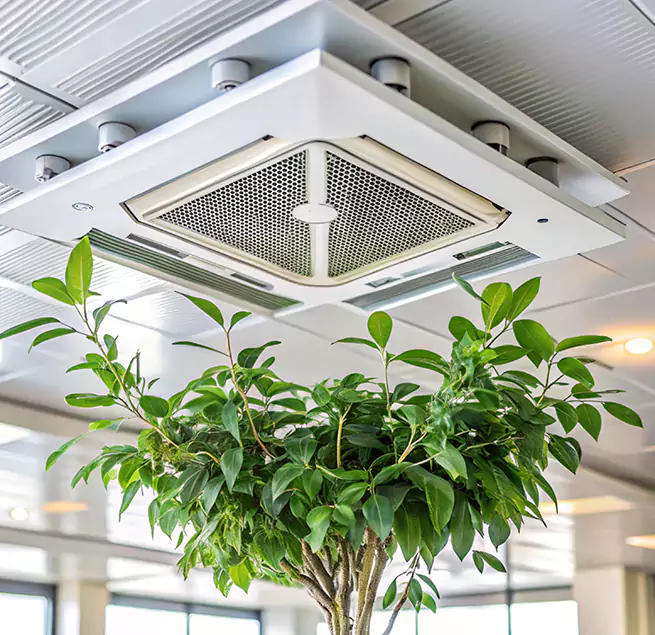 Why Homeowners & Businesses Trust Us in San Gabriel, CA?